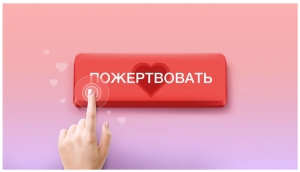 Любят книги и футбол: кто жертвует деньги в России