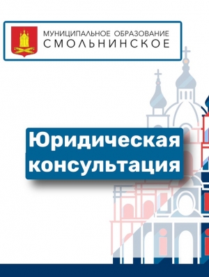 Бесплатная юридическая консультация МО Смольнинское
