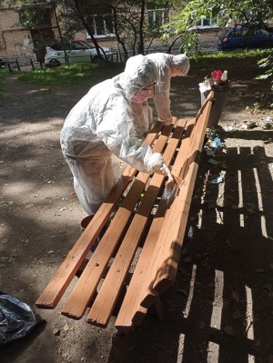 Дневник благоустройства