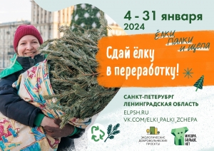 Традиция не только украшать елку, но и правильно ее утилизировать