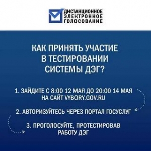 Тестирование дистанционного электронного голосования проходит с 21 апреля по 7 мая 2021 года.