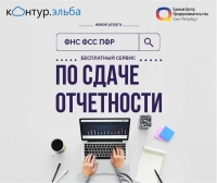 Начинающим ИП и ООО &ndash; бесплатный сервис по сдаче отчетности(7)