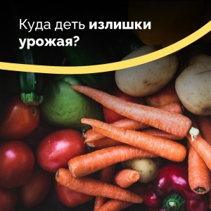 Куда деть излишки урожая?
