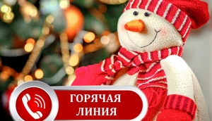 О старте Всероссийской &laquo;горячей линии&raquo; по вопросам качества и безопасности детских товаров к Новому году