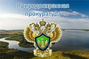 Природоохранная прокуратура потребовала устранить нарушения при проведении работ в водоохранной зоне р. Ижора