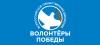 Объявлен набор волонтеров для помощи в организации празднования Дня Победы