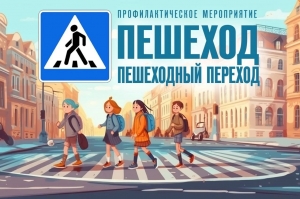профилактическое мероприятие &laquo;Пешеход, Пешеходный переход&raquo;