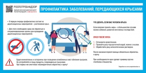 Восточный филиал ФБУЗ &laquo;Центр гигиены и эпидемиологии в г.Санкт-Петербург и Ленинградской области&raquo; информирует:  РЕКОМЕНДАЦИИ ГРАЖДАНАМ: Профилактика заболеваний, передающихся крысами