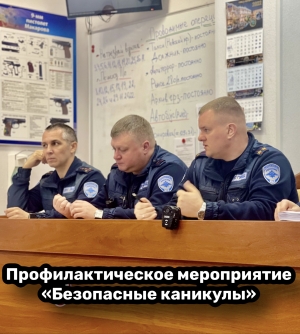 В&nbsp;&nbsp;период с 29 декабря 2022 года по 20 января 2023 года&nbsp;&nbsp;проходит профилактическое мероприятие&nbsp;&nbsp;&laquo;Безопасная зима&raquo;