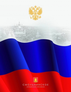 Поздравления с Днем России от Главы МО Смольнинское Григория Ранкова