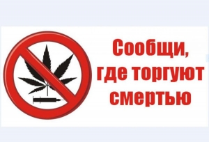 Полицейские Главка задержали мужчин, причастных к организации двух нарколабораторий в Ленобласти