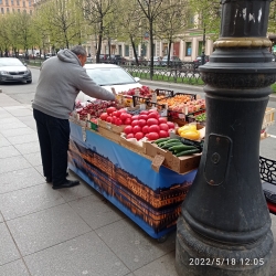 Профилактика правонарушений