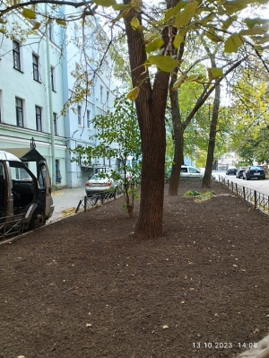 Дневник благоустройства