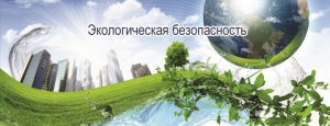 Экологическая безопасность