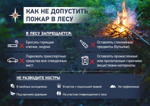 Безопасность детей в период каникул