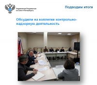 Росреестр Петербурга: обсудили на коллегии  контрольно-надзорную деятельность