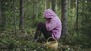 Как не заблудиться в лесу. Памятка отправляющимся в лес.