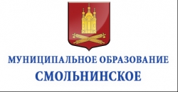 Заседание муниципального совета МО Смольнинское