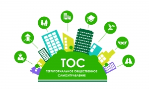 Территориальное общественное самоуправление как вид местного самоуправления