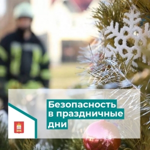 В связи с приближением новогодних и рождественских праздников хотим предупредить вас о том, что важно для безопасности каждого