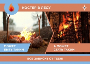 БЕРЕГИТЕ ЛЕС ОТ ПОЖАРОВ