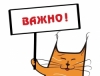 Актуальная информация