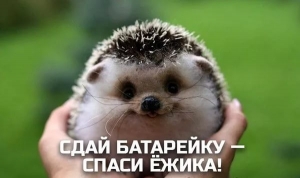 ВНИМАНИЕ КОНКУРС!  &laquo;Сдай батарейку &ndash; спаси ёжика!&raquo;