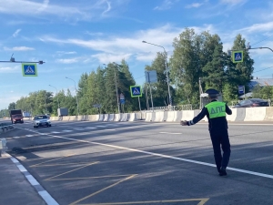 В Петербурге и Ленинградской области сотрудники ГИБДД проведут рейды, по выявлению нетрезвых водителей