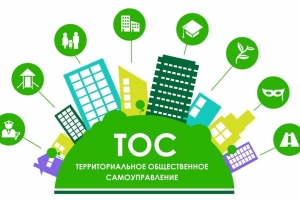 Стратегия ТОС - 2030 года