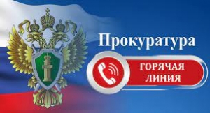 Прокуратура Санкт-Петербурга проводит &laquo;горячую линию&raquo;