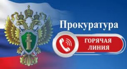 Прокуратура Санкт-Петербурга проводит &laquo;горячую линию&raquo;