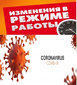 Муниципальное образование Смольнинское продлевает с 07.02.2022 дистанционный режим работы