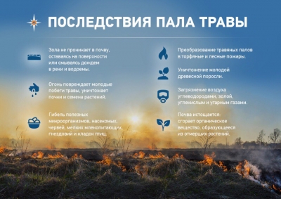 Важная информации