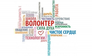 Всероссийский вебинар по развитию добровольчества (волонтерства) в Российской Федерации
