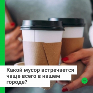 Какой мусор встречается чаще всего в нашем городе?