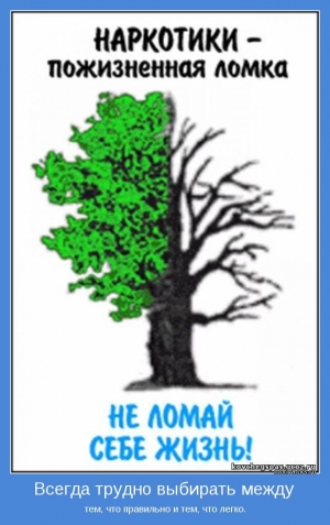СКАЖИ ЗАВИСИМОСТИ НЕТ.