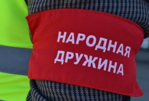 Общественная организация добровольная народная дружина &laquo;Центральная&raquo;