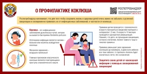 РЕКОМЕНДАЦИИ ГРАЖДАНАМ О профилактике коклюша!