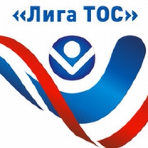 Есть ли правовые основы для участия ТОС в государственных программах?