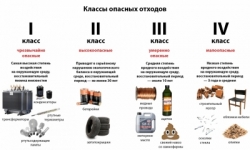 Какие еще отходы в вашем ведре могут быть опасны для окружающей среды?