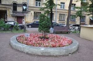 Цветы &ndash; в каждый двор
