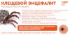 Осторожно - клещи!