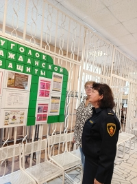 Мониторинг противопожарного состояния объектов защиты: ГБОУ гимназия 168 и ГБДОУ №145 Центрального района Санкт-Петербурга