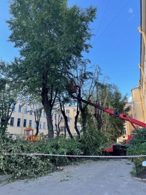 Дневник благоустройства