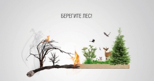 Стартовала Всероссийская информационная кампания "Береги лес"
