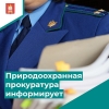 Экологическая отчетность: виды и сроки подачи
