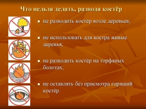 Правила разведения костра в лесу