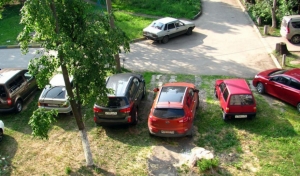Комфортная городская среда - Внесены изменения в Закон Санкт-Петербурга об административных правонарушениях в области защиты зеленых насаждений