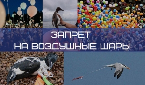 Петербург откажется от массовых запусков воздушных шариков?
