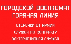 Городской Военкомат реализует онлайн-проект &laquo;Информационный центр Военного комиссариата Санкт-Петербурга&raquo;